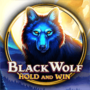 Black Wolf slot artwork