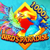 Birds Paradise Flying Tiger
