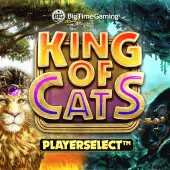 King Of Cats
