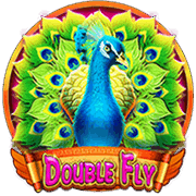 Double Fly slot artwork