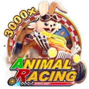Animal Racing