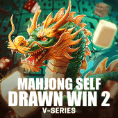 Mahjong Self Drawn Win 2
