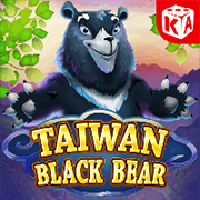 Taiwan Black Bear slot artwork
