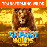 Safari Wilds slot artwork