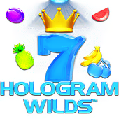 Hologram Wilds slot artwork