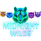 Midnight Wilds slot artwork