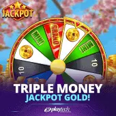 Triple Money Jackpot Gold! slot artwork