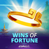 Wins of Fortune slot artwork