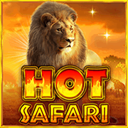 Hot Safari slot artwork