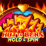 Hot to Burn Hold and Spin slot artwork