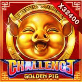 Challengegolden Pig