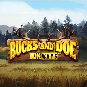 Bucks And Doe 10k Ways