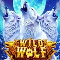 Wild Wolf Xtreme slot artwork