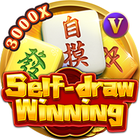 Self Draw Winning 2