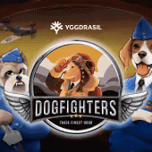 Dog Fighters Their Finest Hour