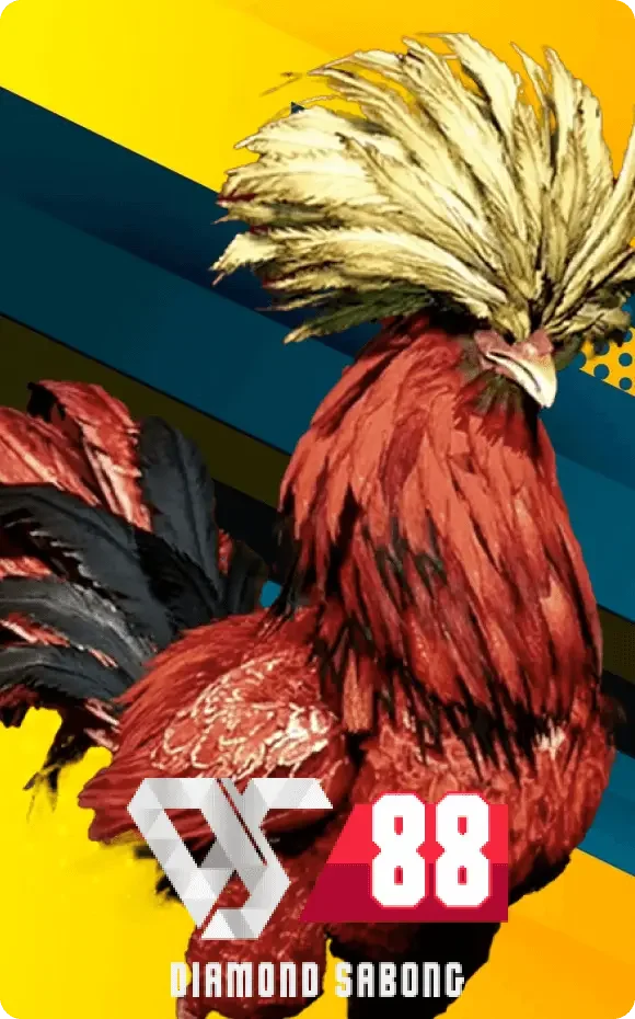 DS88